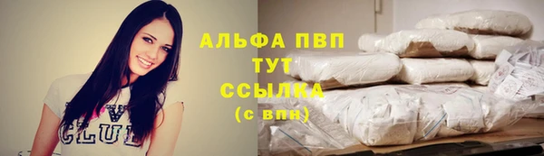 крисы Тихвин