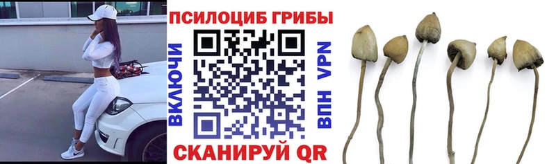 Псилоцибиновые грибы MAGIC MUSHROOMS где найти Первомайск